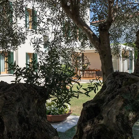 Bed And Breakfast Canalgrande-2